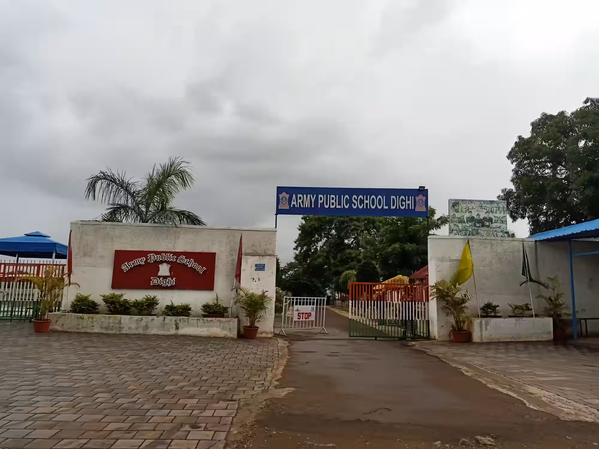 APS DIGHI